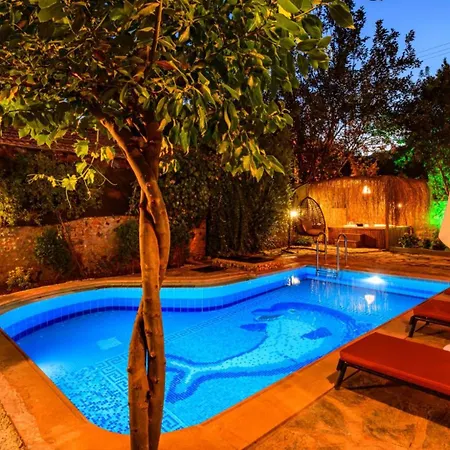 Villa Sarnic - Stone With Private Pool For 6 Guests In Kayakoey, *