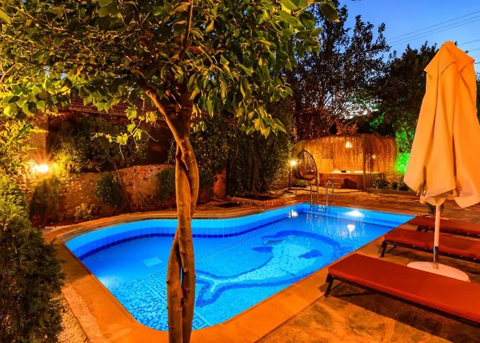 Villa Sarnic - Stone With Private Pool For 6 Guests In Kayakoey, *