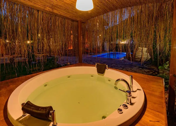 Sarnic - Stone With Private Pool For 6 Guests In Kayakoey, Villa *